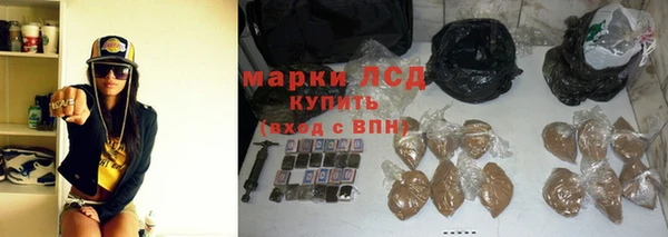 крисы Бронницы