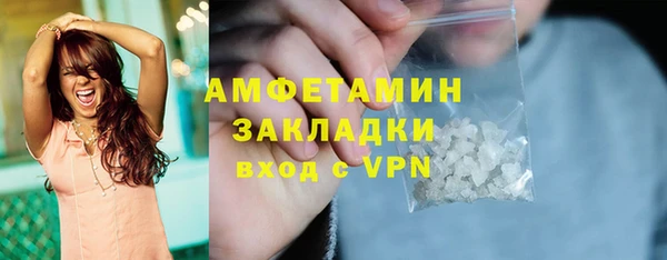 крисы Бронницы