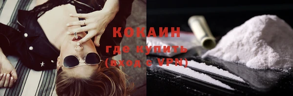 крисы Бронницы