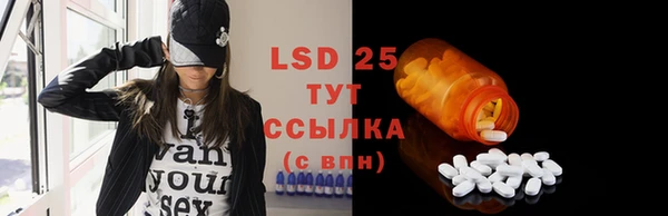 крисы Бронницы