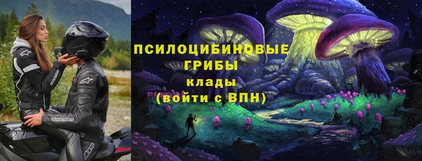 бутират Бугульма