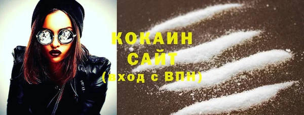 крисы Бронницы